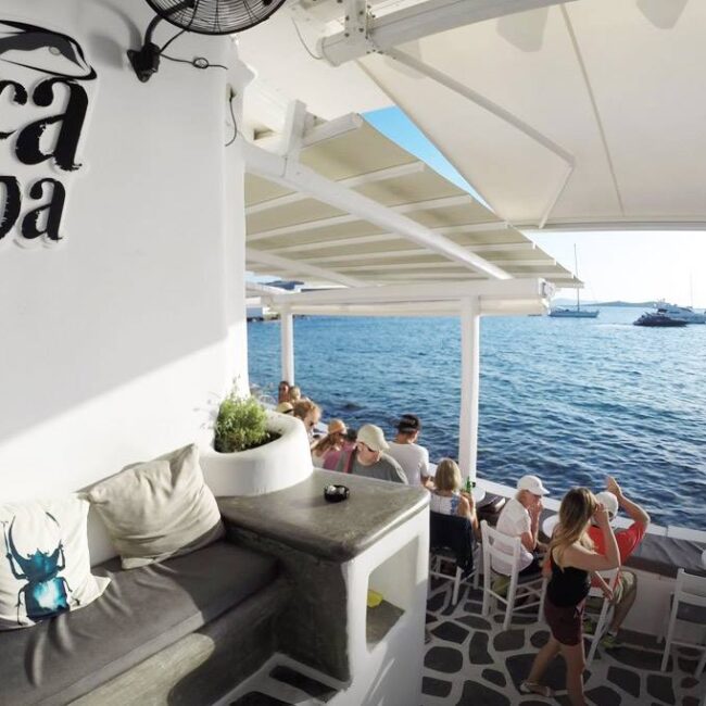 36698253 1860149984050526 5012730939038498816 o